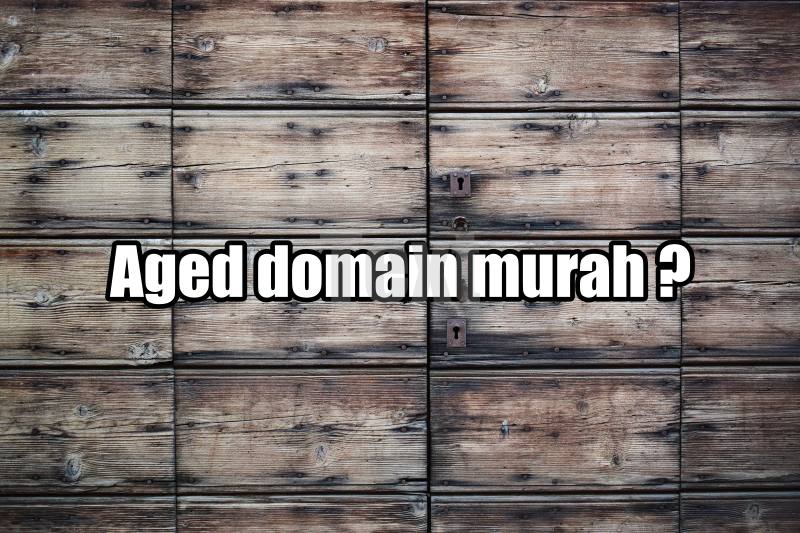Langkah-Langkah untuk Mendapatkan Aged Domain Murah
